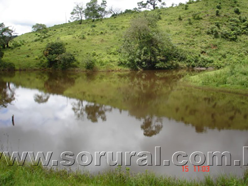 DSC03155-(5)